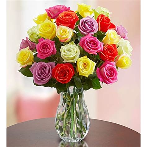 1-800-FLOWERS.COM Two Dozen Assorted Roses