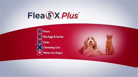 1-800-PetMeds TV commercial - Flea and Tick Control