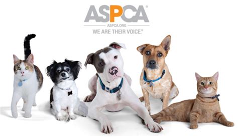 ASPCA Animal Rescue commercials