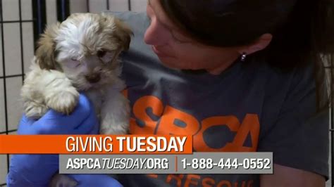 ASPCA Giving Tuesday TV Spot, 'You Have the Power: 1,000 New Donors Needed' Featuring Edie Falco created for ASPCA
