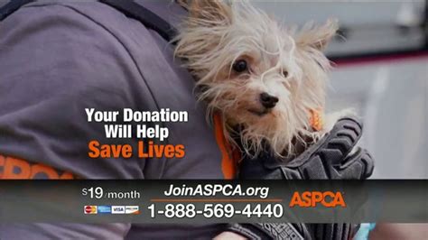 ASPCA TV Commercial For Neglect and Abused Animals created for ASPCA