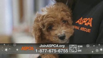 ASPCA TV Spot, 'Holiday Wishes' Featuring Edie Falco