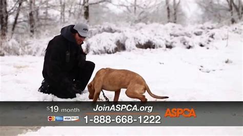 ASPCA TV commercial - Outside in the Cold