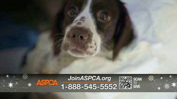 ASPCA TV Spot, 'Silent Night: Outside in the Cold'