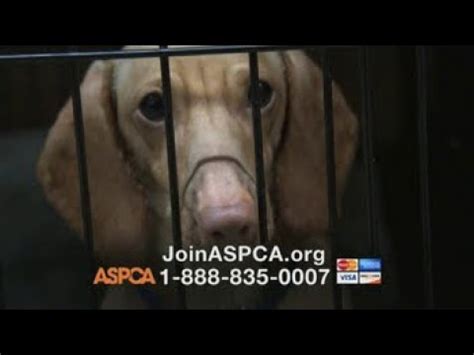 ASPCA TV Spot, 'Somewhere in America'