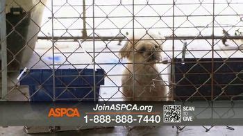 ASPCA TV commercial - This Winter: 3,000 New Donors