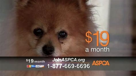 ASPCA TV Spot, 'Unbelievable' Featuring Eric McCormack created for ASPCA