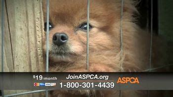 ASPCA TV commercial - Winter Help