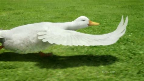 Aflac Cash Benefits TV commercial - Football