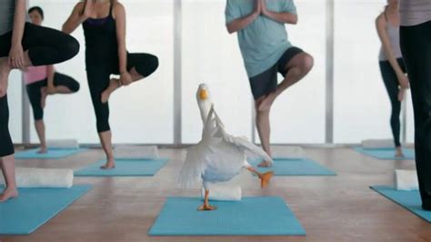 Aflac TV commercial - Duck Does Yoga