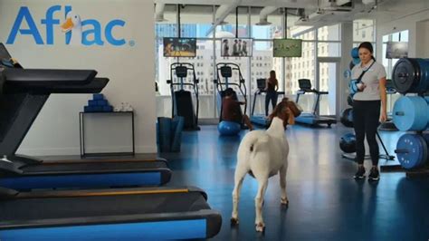 Aflac TV commercial - Gym: Goat Versus Duck