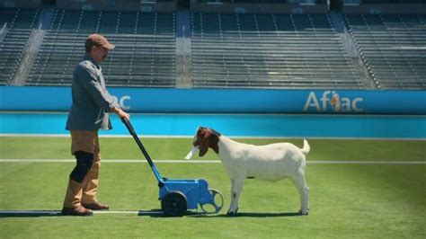 Aflac TV commercial - Stadium Worker
