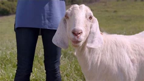Al Fresco All Natural Chicken Sausage TV commercial - Get Carried Away Goats