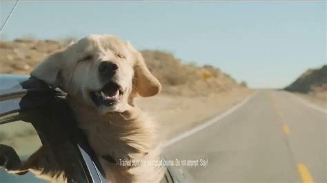 Allstate TV Spot, 'Keep Riders Riding' featuring Cullen Douglas