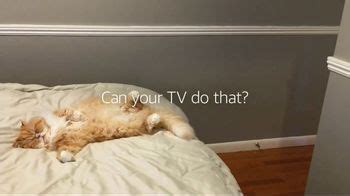 Amazon Fire TV Cube TV Spot, 'Viral Cat'