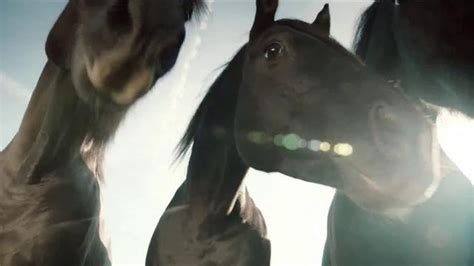 Amazon Prime TV Spot, 'Lonely Horse' Song by Sonny & Cher