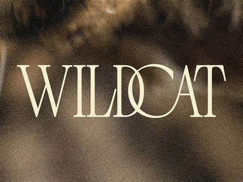 Amazon Studios Wildcat logo