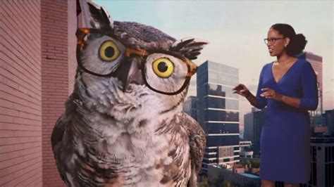 Americas Best Contacts and Eyeglasses TV commercial - When You Feel Fly
