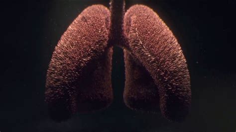 American Lung Association TV commercial - COVID-19: Stay Safe and Informed