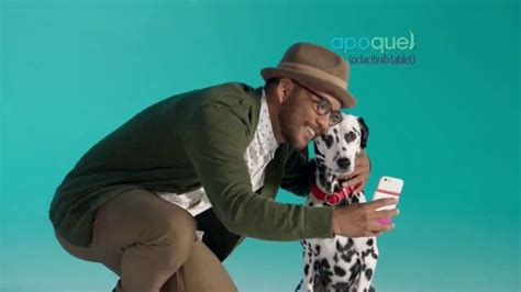 Apoquel TV commercial - Allergic Itch