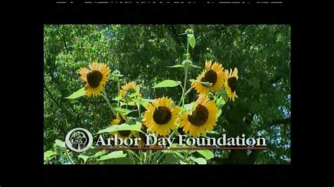 Arbor Day Foundation TV Spot, 'Come on' created for Arbor Day Foundation