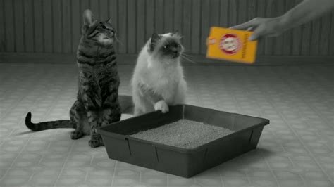 Arm & Hammer Pet Care Clump & Seal Cat Litter TV Spot, 'The Change Needed' featuring Justin Gross