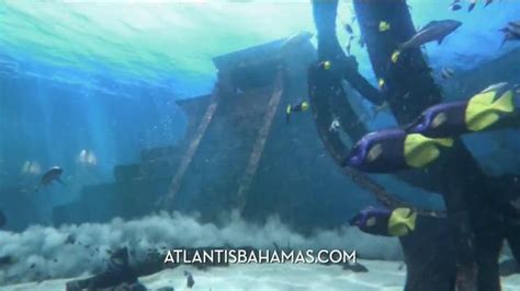 Atlantis Fall and Winter Offer TV Spot created for Atlantis