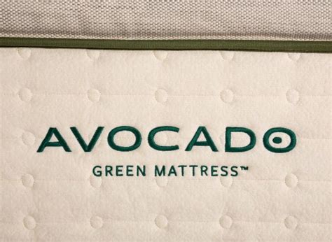 Avocado Mattress Green Pillow