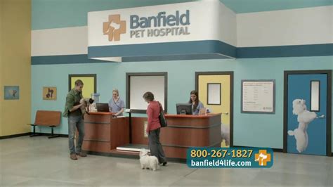 Banfield Pet Hospital TV Spot, 'Molly: Free Exam' created for Banfield Pet Hospital