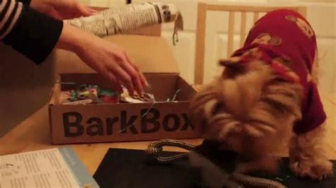 BarkBox TV Spot, 'Holiday Box'