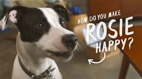 BarkBox TV Spot, 'Rosie'