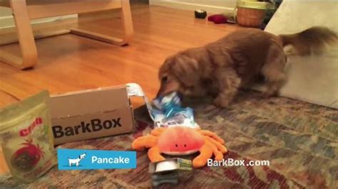 BarkBox TV commercial - Unboxing