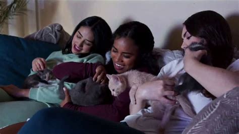Best Friends Animal Society TV Spot, 'Kitten Season: More Urgent Than Morning Coffee'
