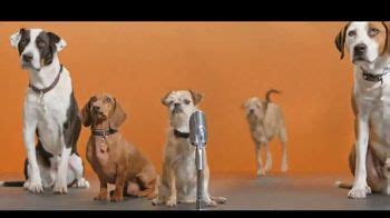 Best Friends Animal Society TV commercial - What Makes Utah Great