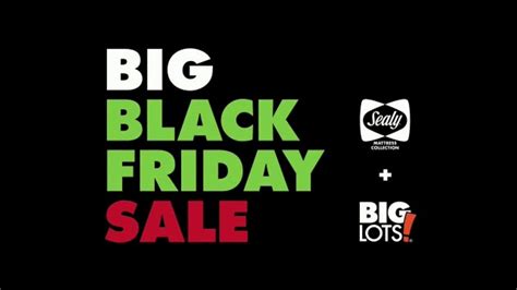 Big Lots Black Friday Sale TV Spot, 'Sealy Mattesses BOGO' created for Big Lots