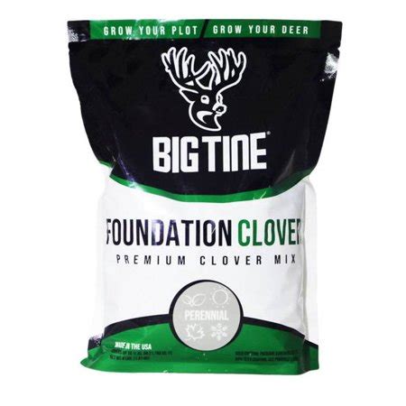 Big Tine Foundation Clover logo