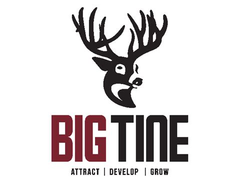 Big Tine logo