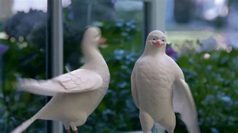 Birds Eye TV Spot, 'Tweet Tweet' featuring Stephen Peace