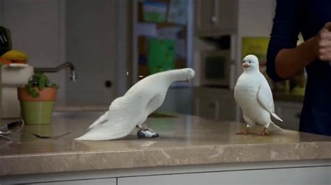 Birds Eye Voila! Skillet Meals TV Spot, 'Tap Dancing' featuring Greg Cromer