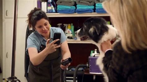 Bissell CrossWave Pet Pro TV Spot, 'Dog Groomer' created for Bissell