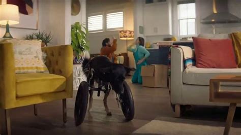 Bissell Little Green Pet Pro TV Spot, 'Wheels' created for Bissell