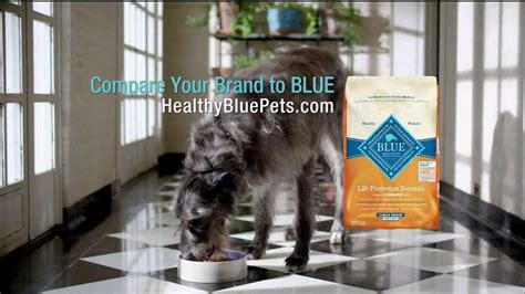Blue Buffalo TV commercial - Pet Cancer Awareness