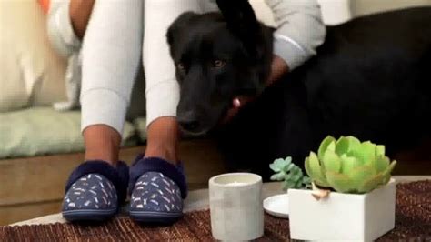 Bobs From SKECHERS TV commercial - PETCO Foundation: Thank You