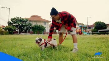 Bona Pet System TV Spot, 'Animal Planet: Pet Bit' created for Bona