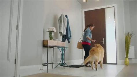 Bounce Pet Hair & Link Guard TV Spot, 'Mascota'