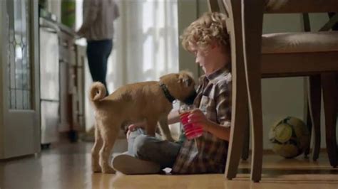 Bounty TV Spot, 'More Dog Life Per Roll' featuring Jessica Latour
