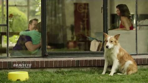 Bravecto TV commercial - Parque de perros