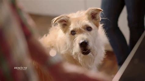 Bravecto TV Spot, 'Protect Your Dog From Fleas & Ticks' featuring Olivia Aaron