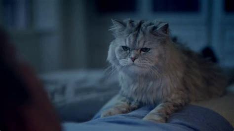 Breathe Right TV Spot, 'Mouth Breather: From the Cat'