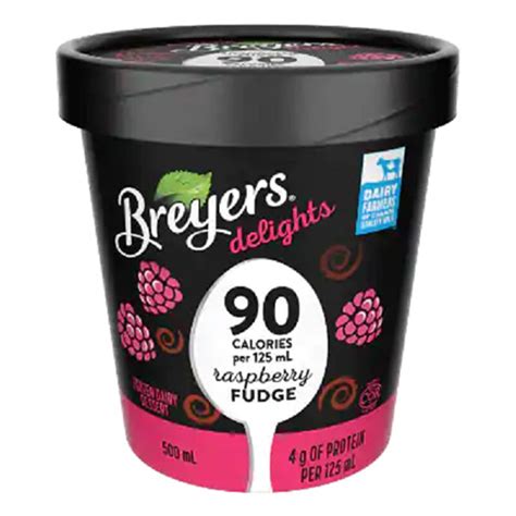 Breyers Delights Raspberry Fudge